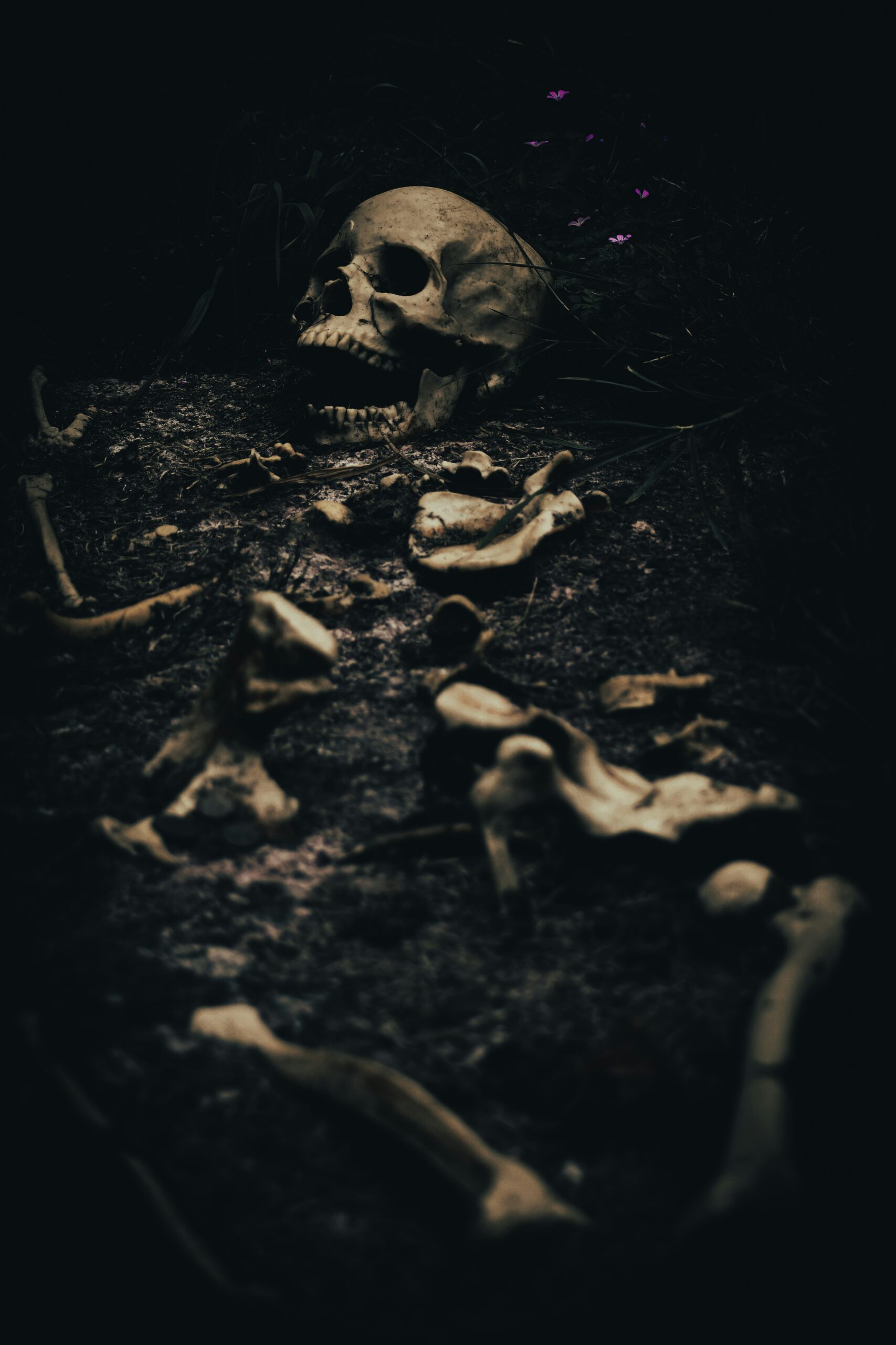 A dark photo of a skeleton, half buried in a spooky forest.